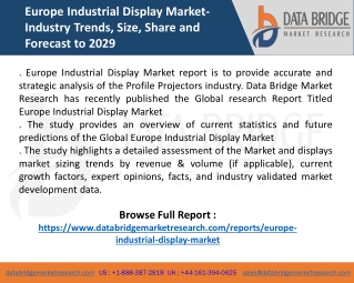 Europe Industrial Display Market