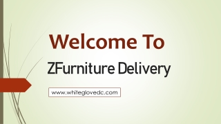 Welcome To ZFurniture Delivery