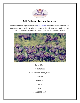 Bulk Saffron  Mehrsaffron.com