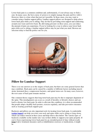 Lumbar Support Pillow for Lower Back Pain While Sitting