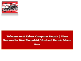Welcome to 22 Zebras Computer Repair