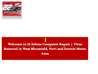 Welcome to 22 Zebras Computer Repair