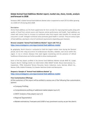 Animal Feed Additives Market