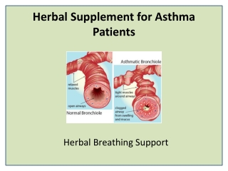 Effective Herbal Remedy for Asthma and Bronchitis