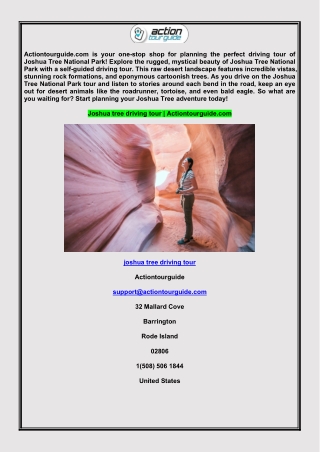 joshua tree driving tour
