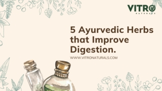 5 Ayurvedic Herbs that Improves Digestion