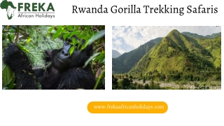 Rwanda Gorilla Trekking Safaris
