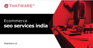 BEST ECOMMERCE SEO SERVICES AGENCY IN INDIA