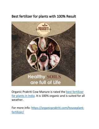 Best fertilizer for plants with 100% Result