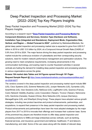 Deep Packet Inspection and Processing Market [2022–2024] Top Key Players Insight