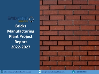 Bricks Manufacturing Plant PDF 2022-2027 Syndicated Analytics