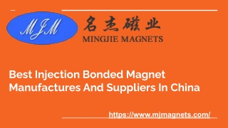 Best Injection Bonded Magnet Manufactures And Suppliers In China