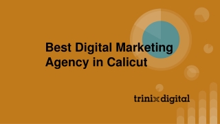 Best Digital Marketing Agency in Calicut