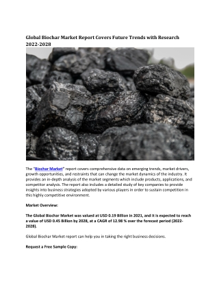Global Biochar Market Report Covers Future Trends with Research 2022-2028