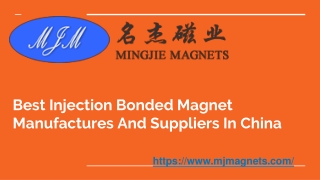 Best Injection Bonded Magnet Manufactures And Suppliers In China (1).ppt