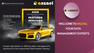 Automotive Aftermarket software - Anzael