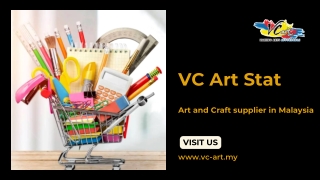 What is the Privacy Policy of VC Art Stat?