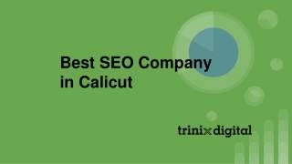 Best SEO Company in Calicut