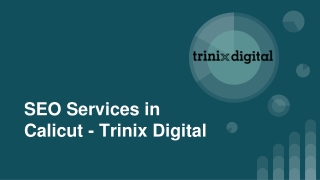 SEO Services in Calicut - Trinix Digital