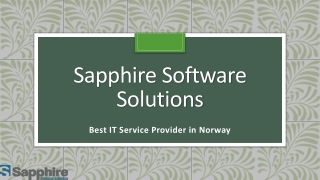 Top-Rated IT Services Provider in Norway | Web Development Services