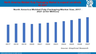 North America Molded Pulp Packaging Market Outlook - Industry Statistics Analysi