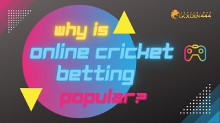 Why Is Online Cricket Betting Popular - Golden444