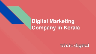 Digital Marketing Company in Kerala