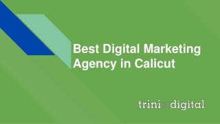 Best Digital Marketing Agency in Calicut
