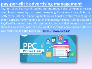 pay-per-click advertising management