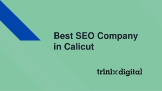 Best SEO Company in Calicut
