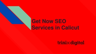 Get Now SEO Services in Calicut