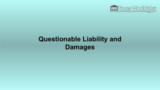 Questionable Liability and Damages