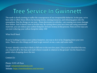 Tree Service In Gwinnett