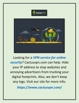 Vpn Service for Online Security | Cactusvpn.com