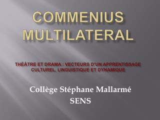 COMMENIUS MULTILATERAL Théâtre et Drama : vecteurs d’un apprentissage culturel, linguistique et dynamique