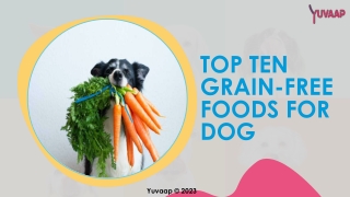 Top Ten Grain Free Dog Foods