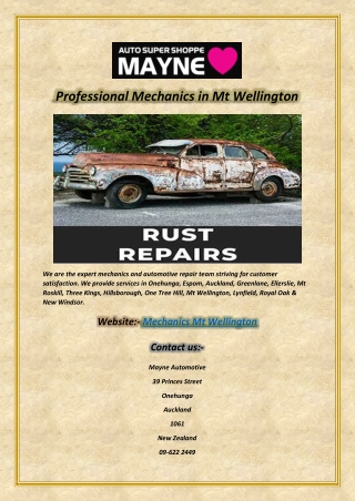 Professional Mechanics in Mt Wellington