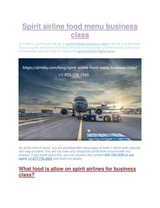 Spirit airlines flight menu by www.airnsky.com