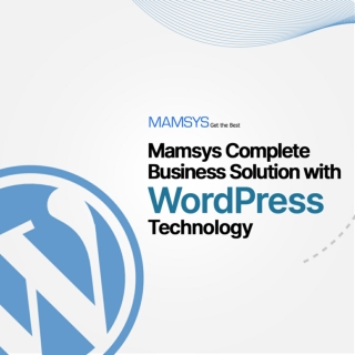 Mamsys WordPress Services