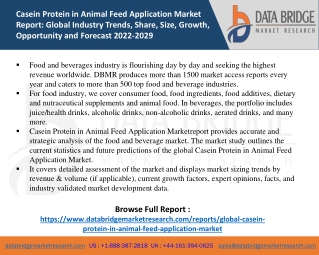 Casein Protein in Animal Feed Application Market