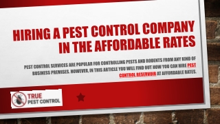 Hiring A Pest Control Company In The Affordable