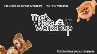 Pet Grooming service Singapore -  The Pets Workshop