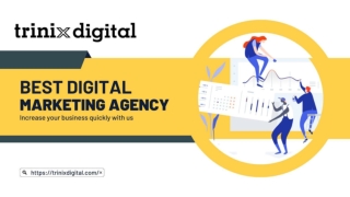 Best Digital Marketing Agency in Kerala