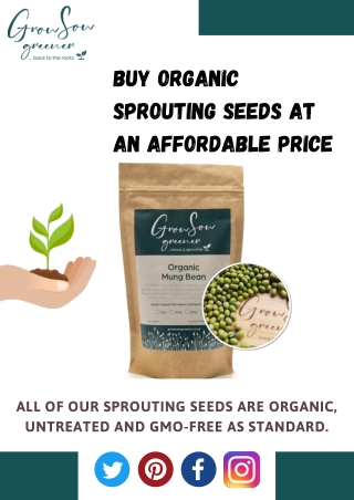 Shop Organic Sprouting Seeds at Latest Price