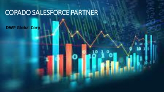 Top Copado Salesforce Partner In The USA | PowerBuilder Server