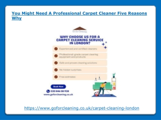 You Might Need A Professional Carpet Cleaner Five Reasons Why