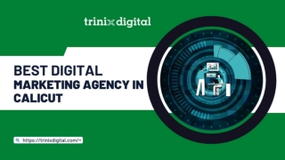 Best Digital Marketing Agency in Calicut