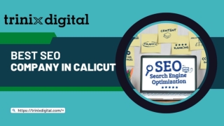 Best SEO Company in Calicut