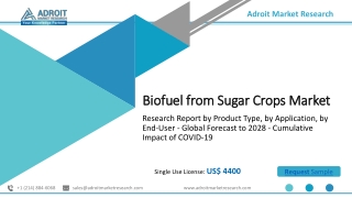 Biofuel from Sugar Crops Market Volume, Application, Market Share Demand, Indust