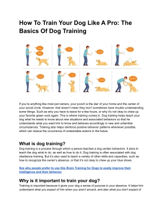 How To Train Your Dog Like A Pro - The Basics Of Dog Training